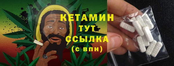 шишки Покачи
