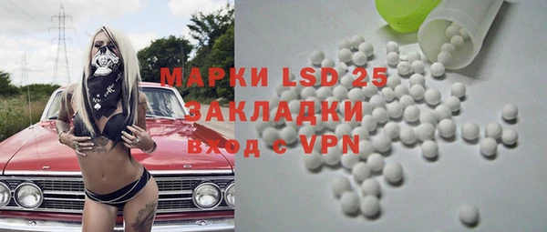 шишки Покачи