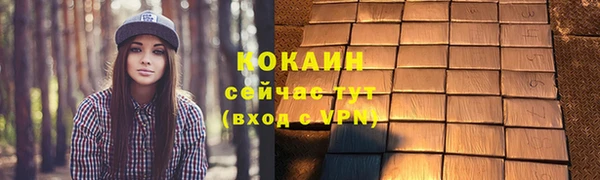 шишки Покачи