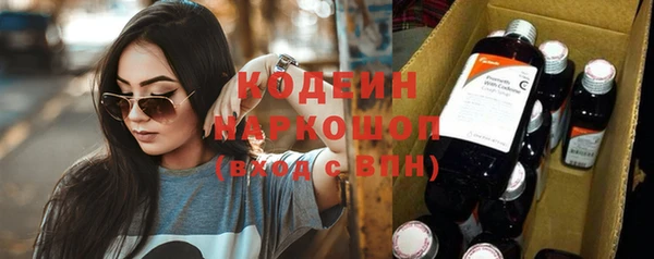 шишки Покачи