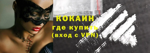 шишки Покачи