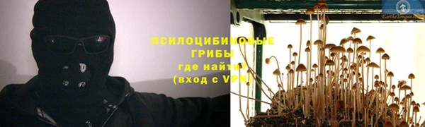 таблы Протвино