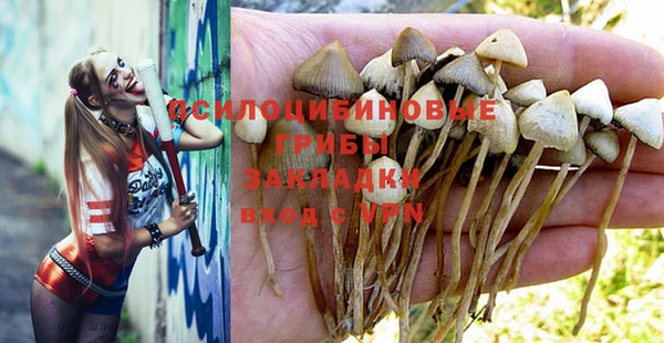 шишки Покачи