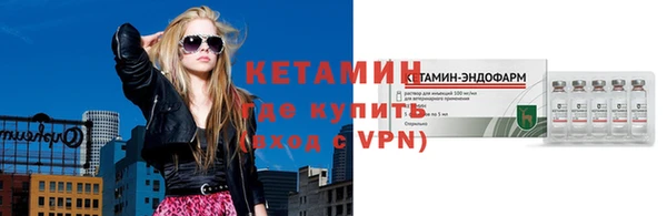 шишки Покачи