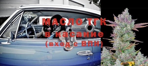 шишки Покачи
