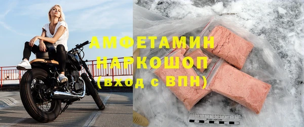 шишки Покачи