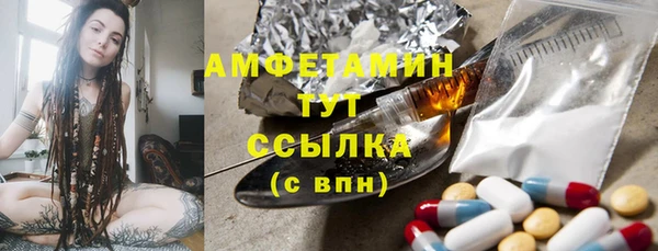 шишки Покачи