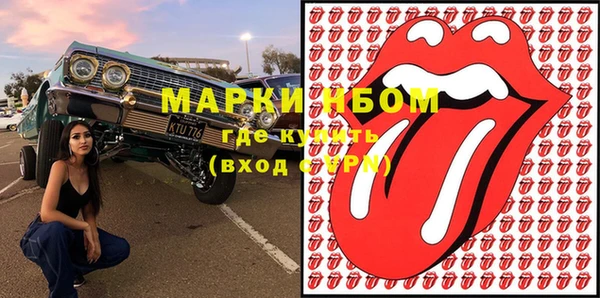 шишки Покачи