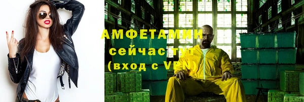 шишки Покачи