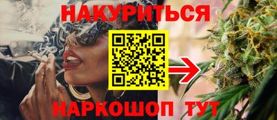 стаф Дубна