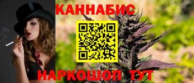 стаф Дубна