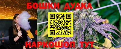 стаф Дубна