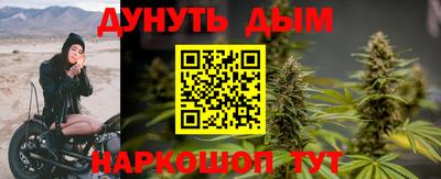 стаф Дубна