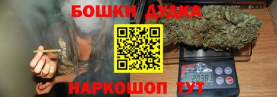 стаф Дубна