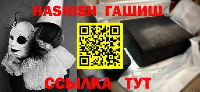 стаф Дубна