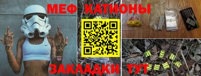 стаф Дубна