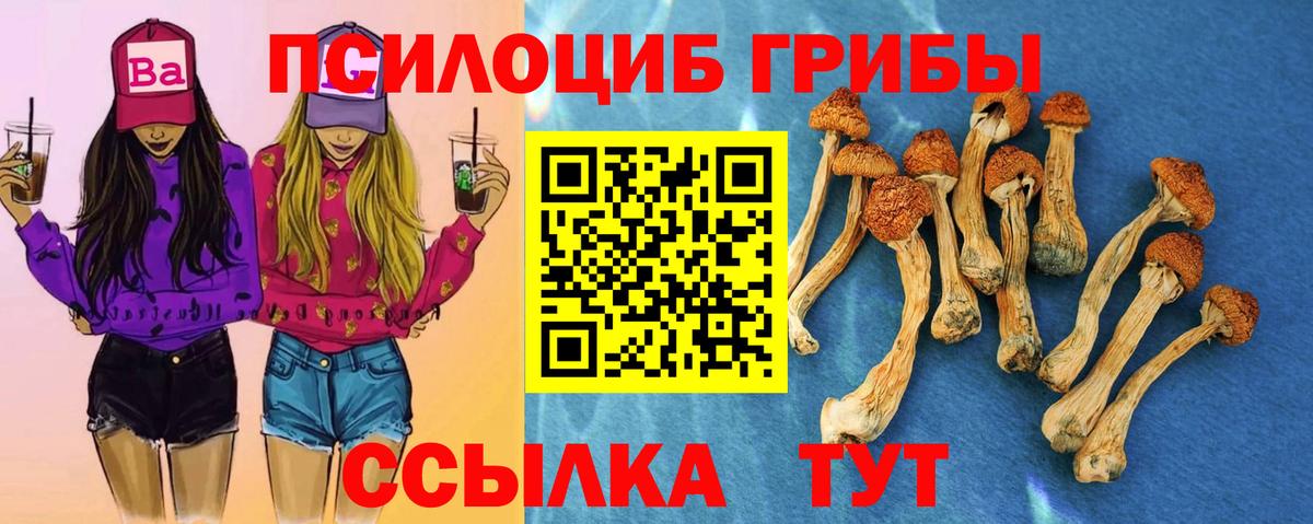 Балашов  Галлюциногенные грибы мицелий  Вход с VPN 